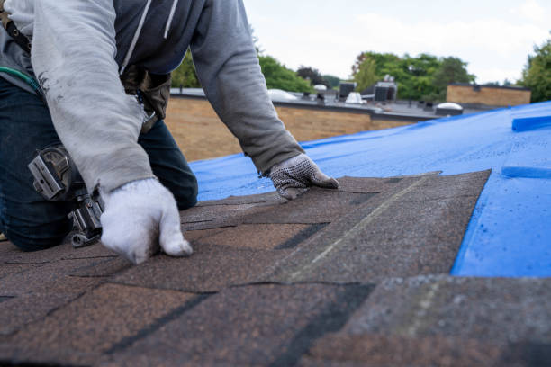 Best Commercial Roofing Services  in Ottumwa, IA